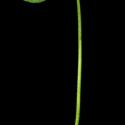Img.VTax808.ExN.Img11