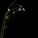 Img.VTax846.ExN.Img3