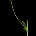 Img.VTax846.ExN.Img7