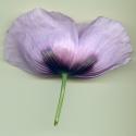 Img.VTax951.ExN.Img6