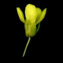 Img.VTax1020.ExN.Img9