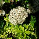 Img.VTax512.ExN.Img8