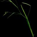 Img.VTax679.ExN.Img1