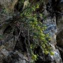Img.VTax936.ExN.Img7