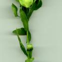 Img.VTax1162.ExN.Img1