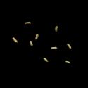 Img.VTax1319.ExN.Img10