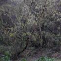 Img.VTax1451.ExN.Img1