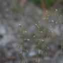 Img.VTax1459.ExN.Img4