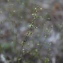 Img.VTax1459.ExN.Img5