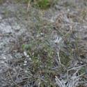 Img.VTax1459.ExN.Img6