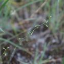 Img.VTax1459.ExN.Img7