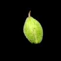Img.VTax1809.ExN.Img5