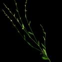 Img.VTax1823.ExN.Img6