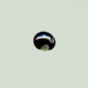 Img.VTax1877.ExN.Img10