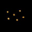 Img.VTax1911.ExN.Img5