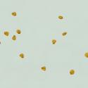Img.VTax1930.ExN.Img9