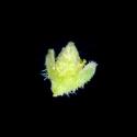 Img.VTax1960.ExN.Img6