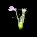 Img.VTax2024.ExN.Img23