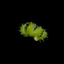 Img.VTax2064.ExN.Img7