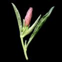 Img.VTax2307.ExN.Img7