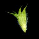 Img.VTax2415.ExN.Img9