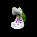 Img.VTax2449.ExN.Img2