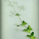 Img.VTax2819.ExN.Img4