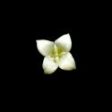 Img.VTax2819.ExN.Img7