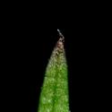 Img.VTax2834.ExN.Img6