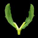 Img.VTax2879.ExN.Img9