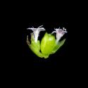 Img.VTax2881.ExN.Img4
