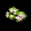 Img.VTax2881.ExN.Img6