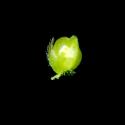 Img.VTax2881.ExN.Img9