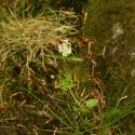 Img.VTax2899.ExN.Img4
