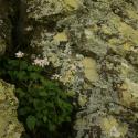 Img.VTax2899.ExN.Img7