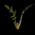 Img.VTax2901.ExN.Img6