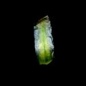 Img.VTax3110.ExN.Img1