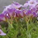 Img.VTax1213.ExN.Img3
