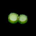 Img.VTax1536.ExN.Img7