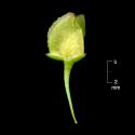 Img.VTax1804.ExN.Img9