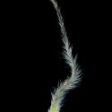Img.VTax193.ExN.Img9