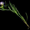 Img.VTax3260.ExN.Img9