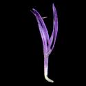 Img.VTax3270.ExN.Img9
