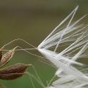 Img.VTax3361.ExN.Img4