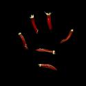Img.VTax3405.ExN.Img12
