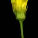 Img.VTax3416.ExN.Img7