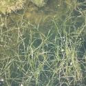 Img.VTax3482.ExN.Img2