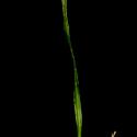 Img.VTax3482.ExN.Img7