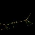 Img.VTax3484.ExN.Img2
