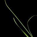 Img.VTax3587.ExN.Img2